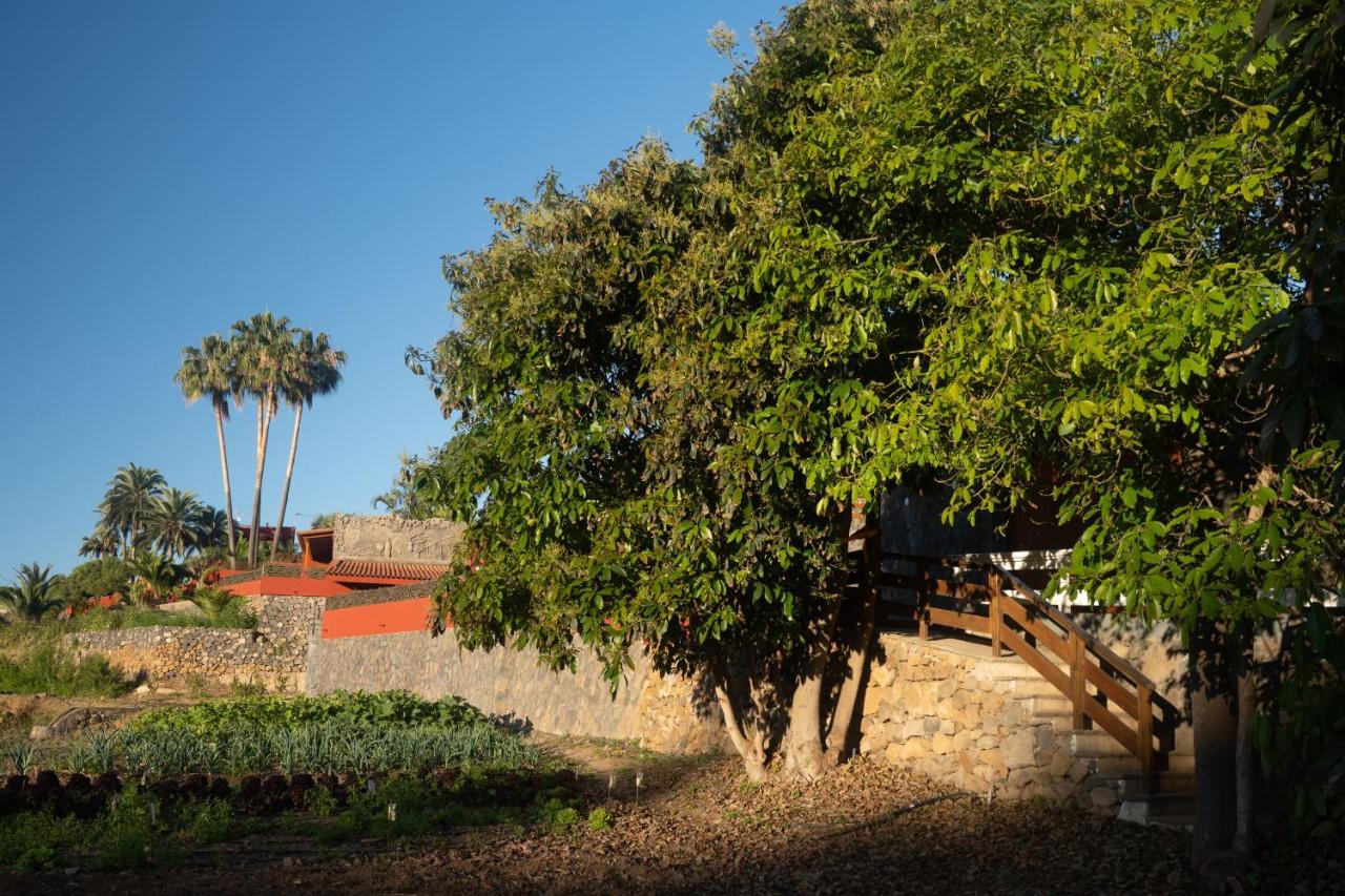 Finca Pico 로스 레알레호스 외부 사진