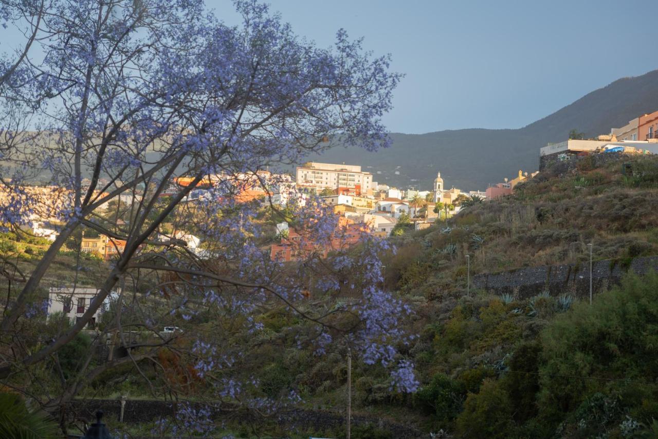 Finca Pico 로스 레알레호스 외부 사진