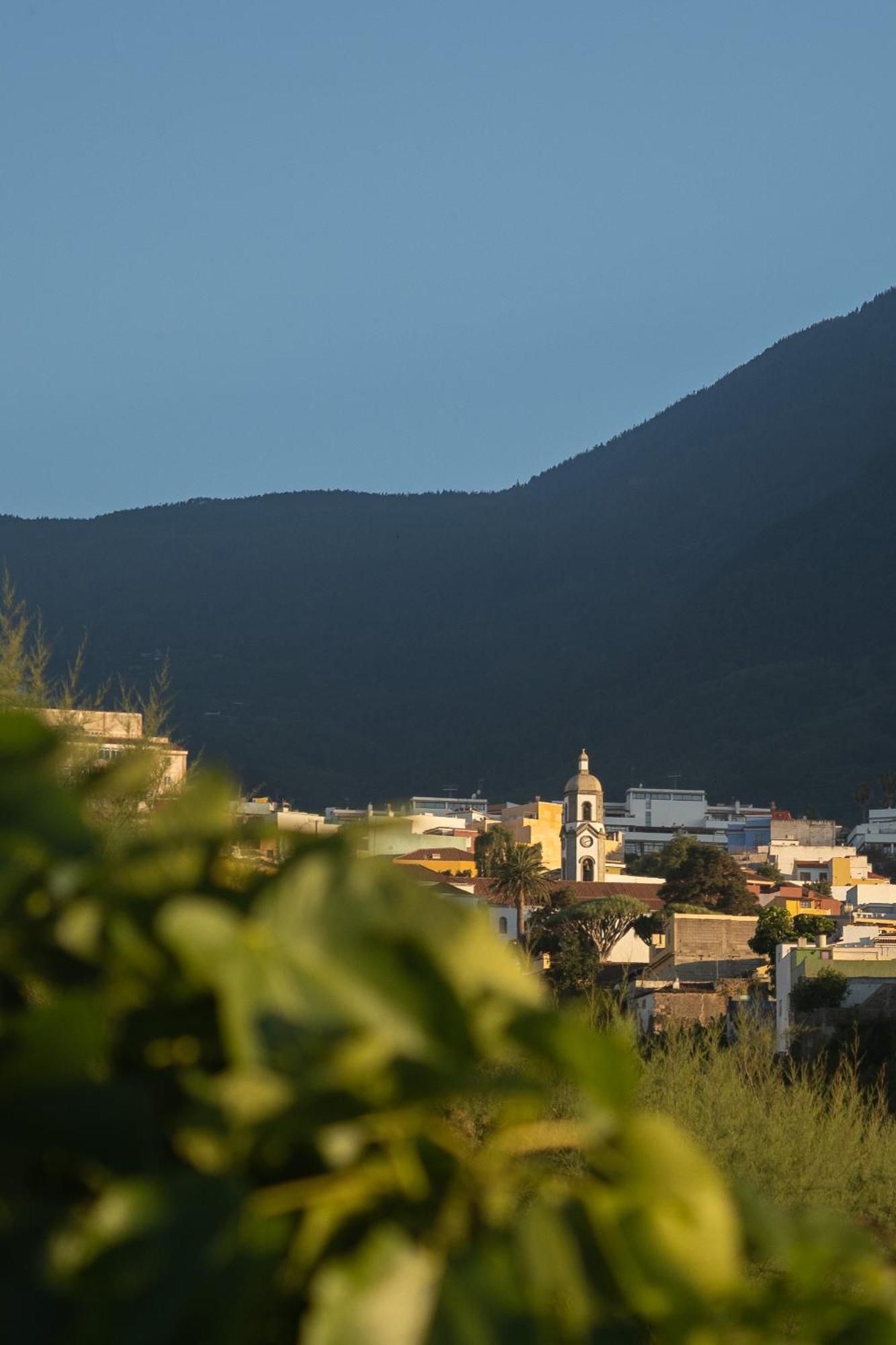 Finca Pico 로스 레알레호스 외부 사진